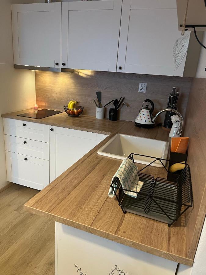 Utulny Apartman Na Dolni Morave Долни-Морава Экстерьер фото